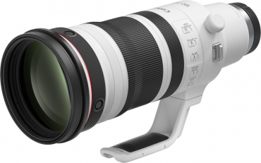 Canon EOS R1 + RF 100-300mm f2.8 L IS USM
