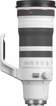 Canon EOS R1 + RF 100-300mm f2.8 L IS USM