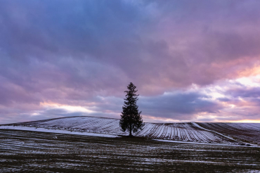 Sigma 20mm f2 DG (C) Sony E-Mount schwarz
