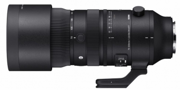 Sony Alpha ILCE-7 IV + Sigma 70-200mm f2,8 DG DN OS (S)