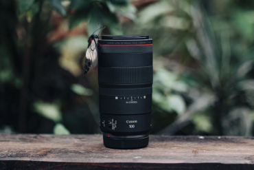 Canon EOS R1 + RF 100mm f2.8 L MACRO IS USM