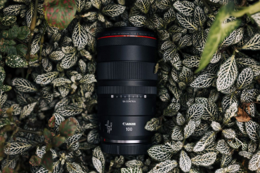 Canon EOS R1 + RF 100mm f2.8 L MACRO IS USM