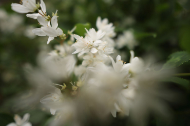 Canon EOS R7 + Sigma 12mm f1,4 DC (C)