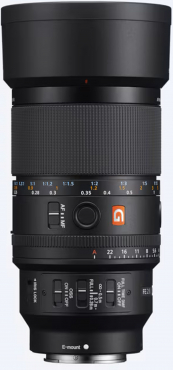 Sony SEL FE 100mm f2.8 Macro GM OSS