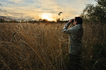 Jumelles Swarovski Optik SLC 8x56 WB