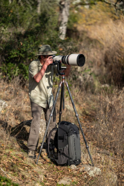 thinkTank BackLight Long Lens