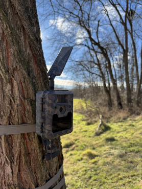 ICU CLOM Cam 6 paquet de 3