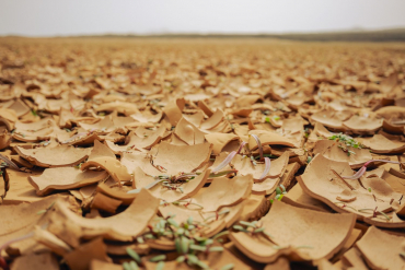 Panasonic DC-S9 schwarz + TTArtisan AF 40mm f2