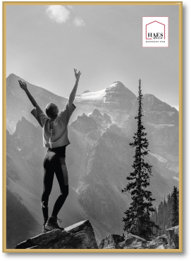Haes Kunststoffrahmen EF8G Easy Frame 50x70cm gold