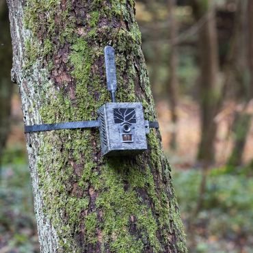 ZEISS Secacam 1 10er Pack + 10x Metallgehäuse