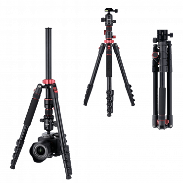 Rollei Compact Traveler No. 2 XL Photo