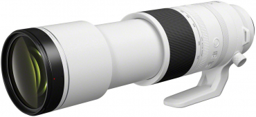 Canon EOS R1 + RF 200-800mm f6,3-9 IS USM