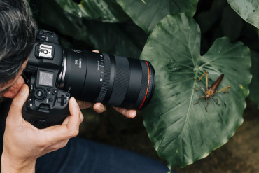 Canon EOS R1 + RF 100mm f2.8 L MACRO IS USM