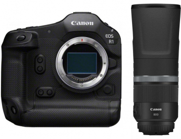 Canon EOS R1 + RF 800mm f11 IS STM