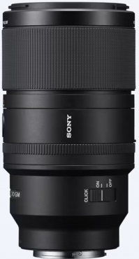 Sony SEL FE 100mm f2.8 Macro GM OSS