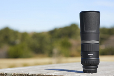 Canon EOS R5 II + RF 800mm f11 IS STM