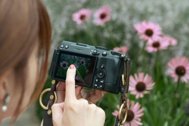 Nikon Z5II C Black + 24-70mm f/4 S - Foto Erhardt