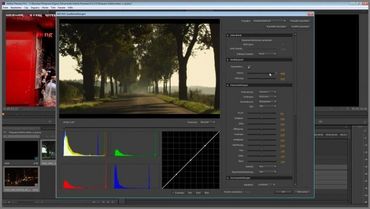 DVD Lernkurs Farbkorrektur und Color Grading