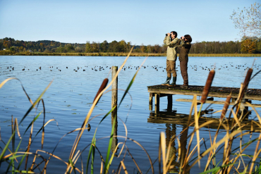 Jumelles Swarovski Optik SLC 8x56 WB