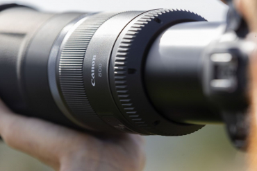 Canon EOS R5 II + RF 800mm f11 IS STM