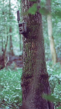 SEISSIGER Baumstativ für Wildkameras