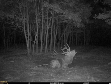 SEISSIGER Base-Cam LTE SUPERSIM-Edition