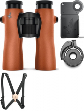 Swarovski NL PURE 12x42 Burnt Orange Basispaket für Vogelbeobachtung
