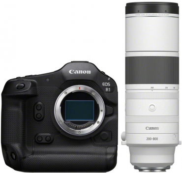 Canon EOS R1 + RF 200-800mm f6,3-9 IS USM