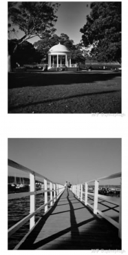 Holga 120N SW roll film camera set + filter