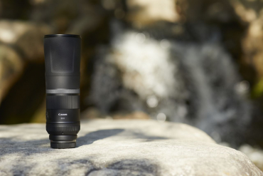 Canon EOS R5 II + RF 800mm f11 IS STM