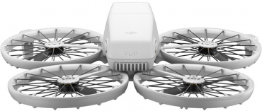 DJI Flip Fly More Combo (Inklus. RC 2) + B&W Case braun/grün