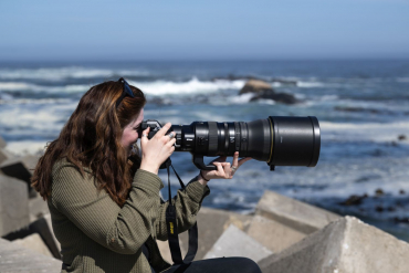 Nikon Z6 III + Z 24-70mm f4 S B-Ware