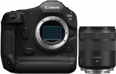 Canon EOS R1 + RF 85mm f2 MACRO IS STM