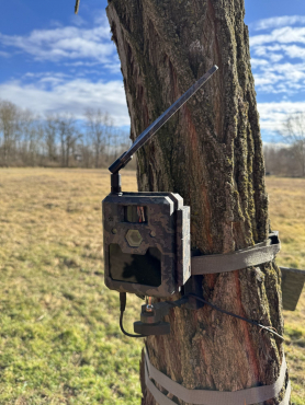 ICU CLOM Cam 6 2er Pack