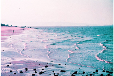 Lomography LomoChrome Purple Pétillant 35mm ISO 100-400