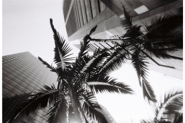 Lomography Simple Use Kamera Black and White ISO 400