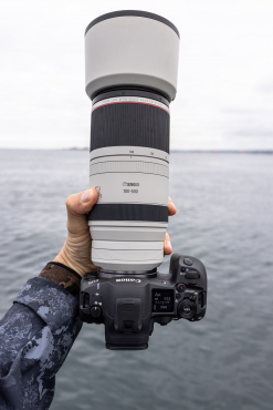 Canon EOS R5 II + RF 70-200mm f2,8L IS USM