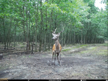 SEISSIGER Base-Cam LTE SUPERSIM-Edition