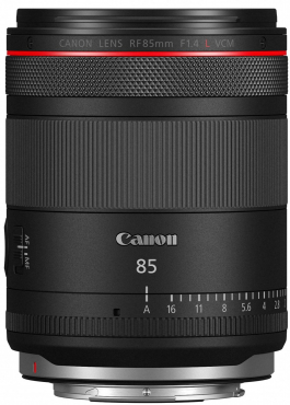 Canon EOS R6 III + 85mm f1,4 L VCM