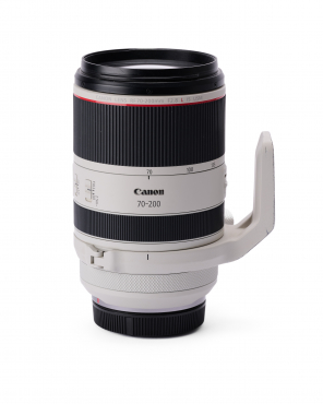 Canon RF 70-200/2.8 L IS USM occasion #9171440