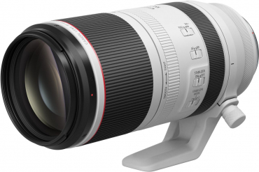 Canon EOS R6 II + RF 100-500mm f4.5-7.1L IS USM
