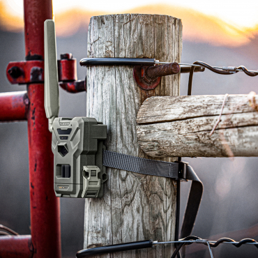 SPYPOINT FLEX-M wildlife camera 4-pack + 4 LIT22 batteries