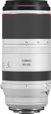 Canon EOS R6 III + 24-105mm f4 L IS USM + 100-500mm f4,5-7,1 L IS USM