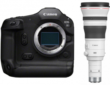 Canon EOS R1 + RF 800mm f5,6 L IS USM