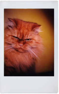 Lomography LomoInstant Automat Glass & Lenses Kiliman