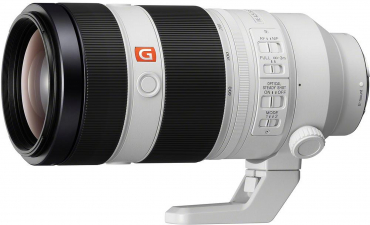 Sony Alpha ILCE 7R III + 100-400mm f4,5-5,6 GM