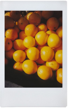Lomography Lomo Instant Automat Gass & Lenses Serengeti
