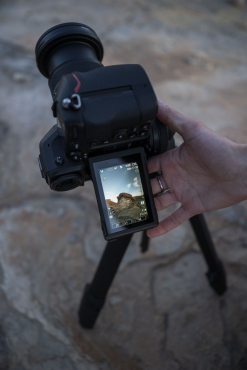 Nikon Z8 + Nikkor Z 24-70mm f4 S