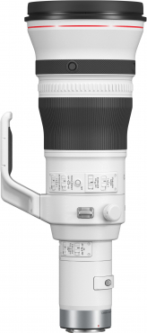 Canon EOS R1 + RF 800mm f5.6 L IS USM