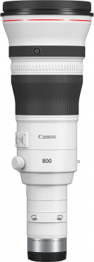 Canon EOS R1 + RF 800mm f5.6 L IS USM